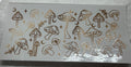 Mushrooms wrap Flo004